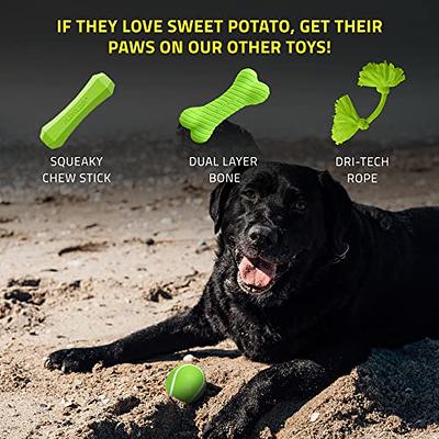 NOUGAT Tough Dog Toys for Aggressive Chewers, Squeaky Dog Chew