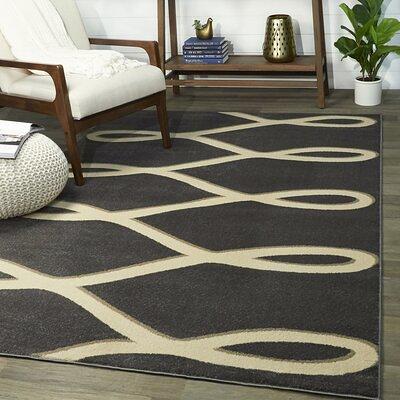 Black & Tan Area Rug Rectangle 3' x 5'. INCLUDES Rug Pad. Black