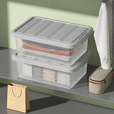 Tyminin Plastic Storage Bin with Clear Lid and Grey Handle, 6 Packs