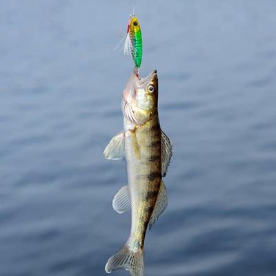 4PCS Ice Winter Fishing Lures Hard Carp Fishing Bass Walleye Trout Jig  Swimbaits