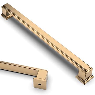 Goldenwarm Antique Bronze Cabinet Pulls for Kitchen Cabinet Handles