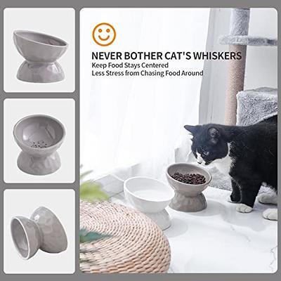 Cat Food Water Bowl Set - Raised Ceramic Cat Feeding Bowls with