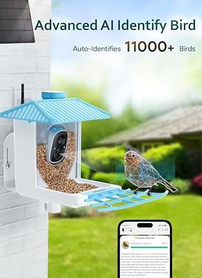 Osoeri Smart Bird Feeder with Camera, 1080P HD AI Identify Wild Bird  Watching Camera, Auto Capture
