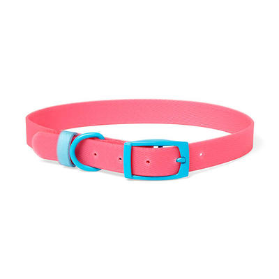 Lucy & Co. Posy Pink Dog Collar, Size: Medium | PetSmart