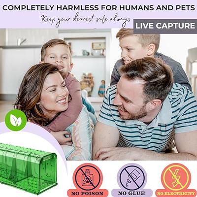 4 Pcs Humane Mouse Traps No Kill, Live Mouse Traps Indoor for Home,  Reusable Mice Small Rat Trap Catcher for House & Outdoors - Yahoo Shopping