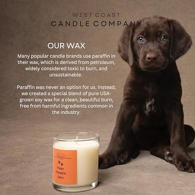  Pet Friendly Wax Melt, Pet Safe Wax Melt, All Natural Wax  Melt, Non-Toxic Wax Melt, Pet Odor Eliminator, Pure Soy Wax Melts