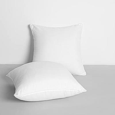 Oubonun 20 x 20 Throw Pillow Inserts (Set of 2) with 100% Cotton Cover - 20  Inch Square Interior Decorative Sofa Pillow Insert Pair - White Couch