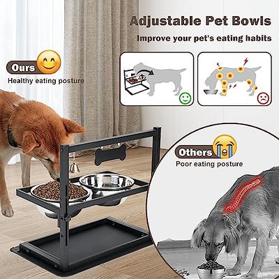 Lapensa Elevated Dog Bowls, Stainless Steel Raised Dog Bowl with