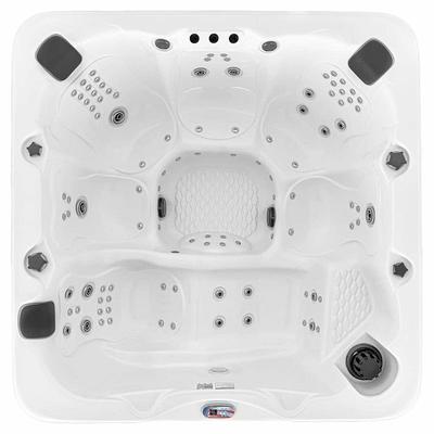 Lifesmart LS700DX 90-Jet, 7-Person Standard Spa