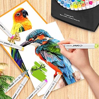 121 Colors Dual Tip Alcohol Based Art Markers,120 Colors plus 1 Blender  Permanent Marker 1 Marker Pad with Case Perfect for Kids Adult Coloring  Books