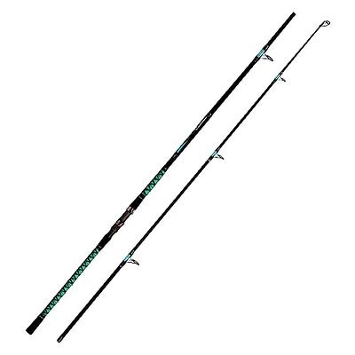 Fiblink Surf Casting Fishing Rod 2-Piece Graphite Travel Baitcasting  Fishing Rod