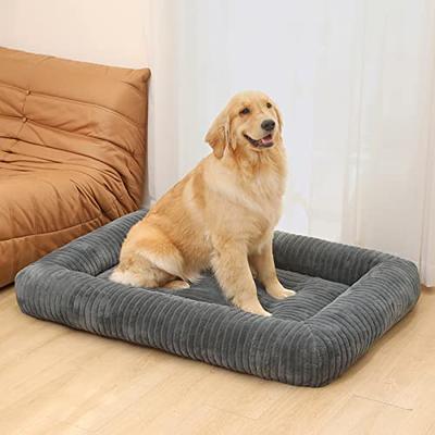 PETSARK Foldable and Portable Outdoor Dog Bed for Large Dog Orthopedic  Cooling Dog Bed for Medium Dog Washable Outdoor Dog Bed Waterproof Cooling  for Traveling - Yahoo Shopping