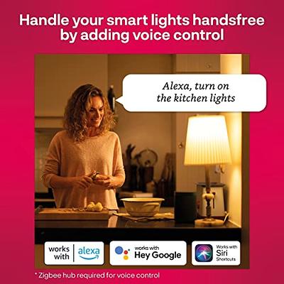 Philips Hue Smart Plug, White - 2 Pack - Turns Any Light Into a Smart Light  - Control with Hue App - Compatible with Alexa, Google Assistant, and Apple  HomeKit 