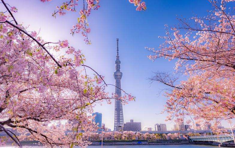 玩日本JR東京廣域周遊券攻略～路線範圍、使用資格、票價劃位總整理！