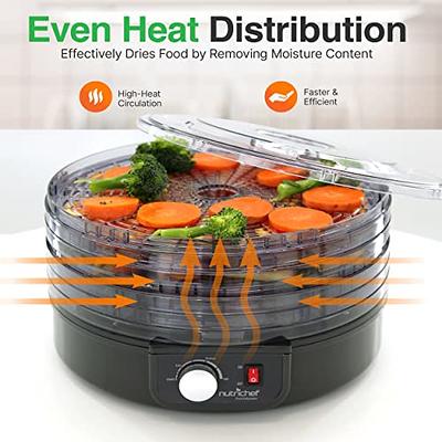 Colzer Food Dehydrator with 12 Stainless Steel Trays