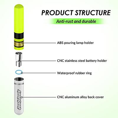 2pcs Rod Tip Light for Sea Carp Fishing with CR322 Battery and Holders  Included