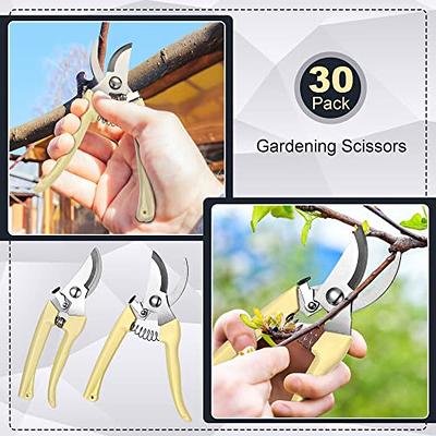 Rose Gold Bypass Pruning Shears Stainless Steel Garden Shears Garden  Clipper Heavy Duty Pruners Secateurs Gardening Trimmer Scissors