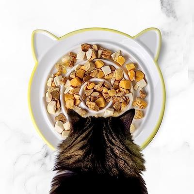 Elevated Cat Bowl, Ceramic Slow Feeder Cat Puzzle Food Bowl Water