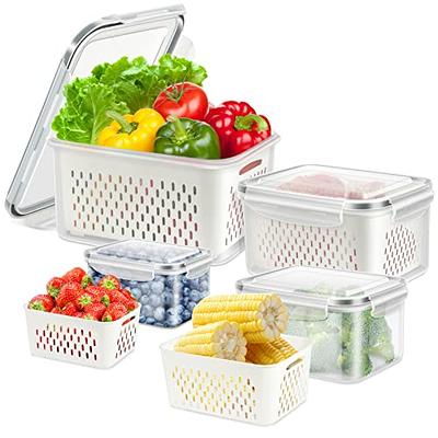 20 Sets Food Storage Containers With Lids, Airtight Plastic Meal Prep  Container, Vegetable Fruit Food Organizer, For Pantry, Kitchen And  Refrigerator