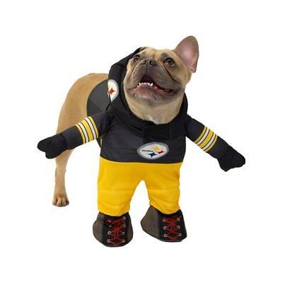 Modern Hero NFL Running Dog Costume