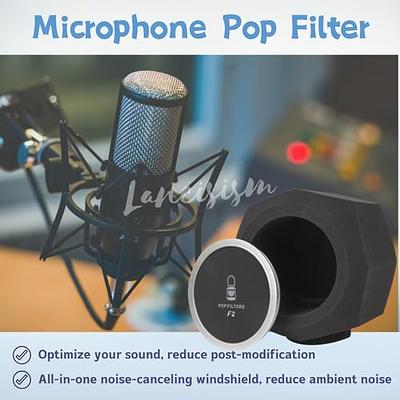 Microphone Wind Shield Pop Filter Isolation Ball, Acoustic Filter for  Recording Studios Mic, Sound-Absorbing Foam that Effectively Reduces Noise  and Reflections, Blue