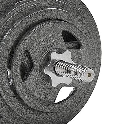 Signature Fitness Cast Iron Standard Weight Plates Including 5FT Standard  Barbell with Star Locks, 95-Pound Set (85 Pounds Plates + 10 Pounds