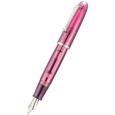 Fountain Pen-Iridium Fine Nib Writing Pen Set, Fancy Pen Gift Set for  Calligraphy Writing,with Converter,Smooth Writing (rose red) - Yahoo  Shopping