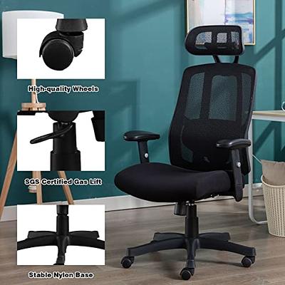 Logicfox Ergonomic Office Chair: Double Lumbar Support