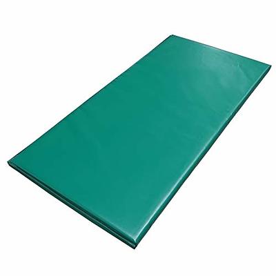 Tumbl Trak Folding Gymnastics Tumbling Panel Mat 