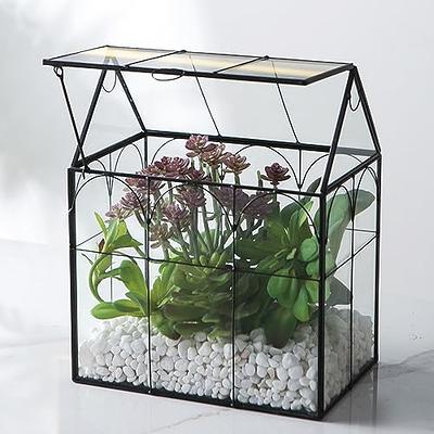 Giadun Large Glass Terrarium House Planter – Succulent Plant Terrarium  House Shape Glass Greenhouse Terrarium with Lid, Indoor Tabletop Orchid  Succulent Cacti Terrarium - Yahoo Shopping