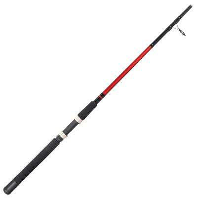 Daiwa BG/Offshore Angler Salt Striker Spinning Combo