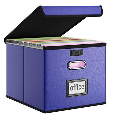 Oterri File Organizer Box with Lid, Portable Hanging File Box with Mesh  Pocket, Collapsible Filing Storage Box for Letter Size, File Organizer for