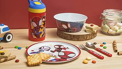 Zak Designs Marvel Spider-Man 5 Piece Set Includes Plate, Bowl, Water  Bottle and Utensil Tableware, Spiderman Spidey and His Amazing Friends  Dinnerware Drinkware 5pc - Yahoo Shopping