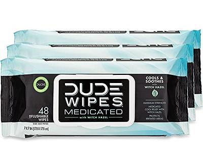 DUDE Wipes, Flushable Wipes, Extra Large and Fragrance-Free Wipes (400 ct.)