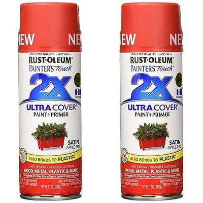 Rust-Oleum 249100 Painter's Touch 2x Ultra Cover Spray Paint, 12 oz, Gloss Meadow Green
