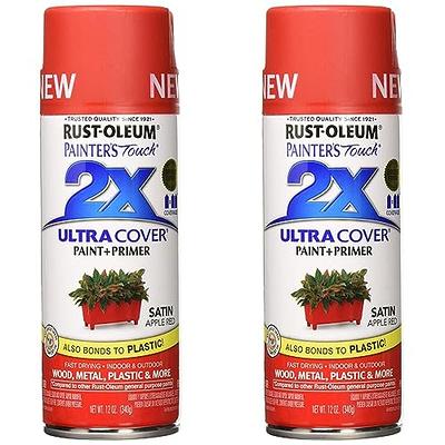 Rust-Oleum Painter's Touch 2X Ultra Cover 12 Oz. Satin Paint + Primer Spray  Paint, Blossom White