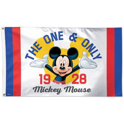 Houston Texans Mickey Mouse Banner Flag