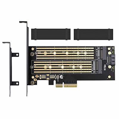 Dual NVMe PCIe Adapter, RIITOP M.2 NVMe SSD to PCI-e 3.1 x8/x16 Card  Support M.2 (M Key) NVMe SSD 22110/2280/2260/2242/2230