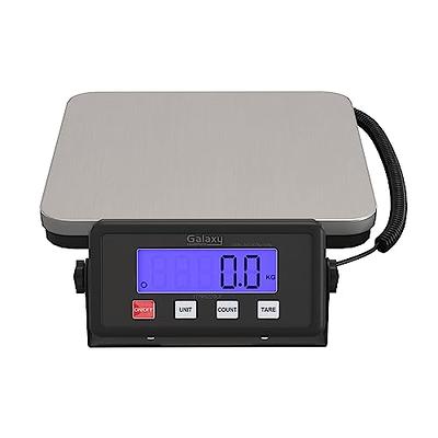 Cardinal Detecto SlimTALK 440 lb. Low-Profile Bilingual Talking Digital  Scale