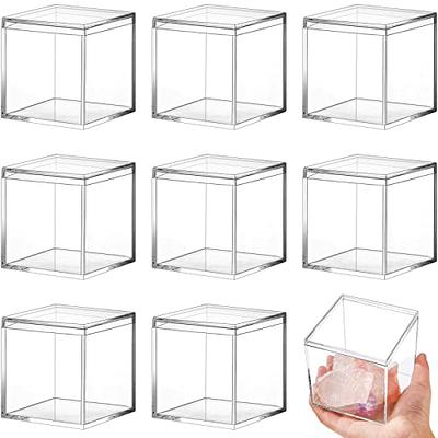 8 Pieces Clear Acrylic Plastic Jewelry Box Mini Storage Box Mini Cube  Containers with Lids Storage Candy Box for Candy Pill and Tiny Jewelry  (Square, 3.3 x 3.3 x 3.3 Inch) - Yahoo Shopping