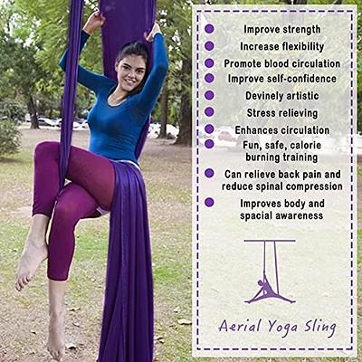 WWahuayuan 10M Premium Aerial Silks Equipment Yoga Pilates Swing
