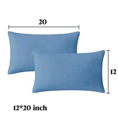 puredown® Outdoor Waterproof Throw Pillows, 22 x 22 Inch Feathers and Down  Filled Decorative Square Pillows for Garden Patio Bench, Pack of 2, Blue