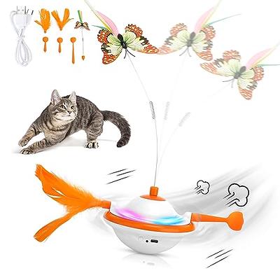 Madgern Cat Toys Wands 6 Pack Interactive Cat Toys for Indoor Cat Toys for  Boredom and Stimulating Natural Bird Feather Indoor Dancing Playing Toy -  Yahoo Shopping