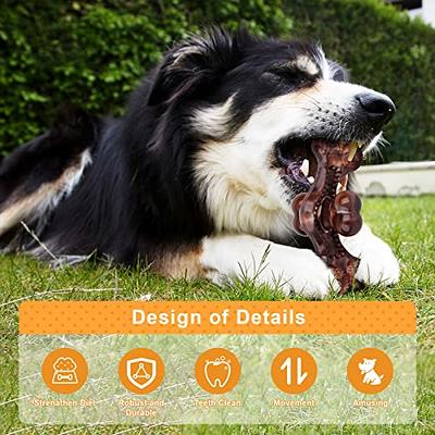 Doudele Best Interactive Durable Bones Dog chew Toys for Aggressive chewers  Indestructible Dog Toys for Boredom and stimulating