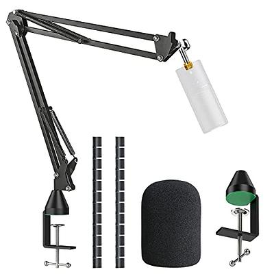 Mic Boom Arm Stand With Pop Filter, Compatible With Fifine K669