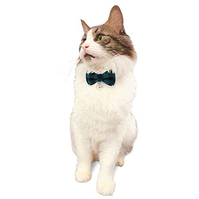 Breakaway Cat Collar with Bell, Cute Cat Collars