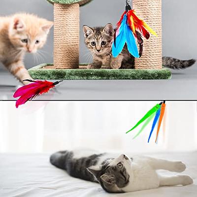 OODOSI Cat Toy Wand, Retractable Cat Feather Toys and Replacement