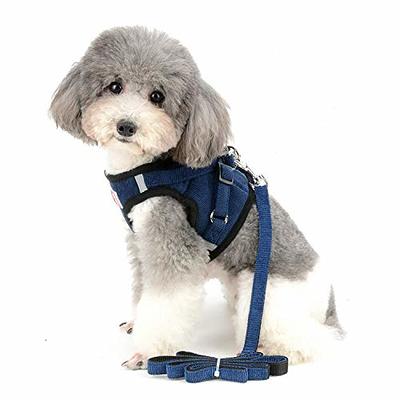 New Dog Harness for Small Dogs Leash and Collar Set Chihuahua