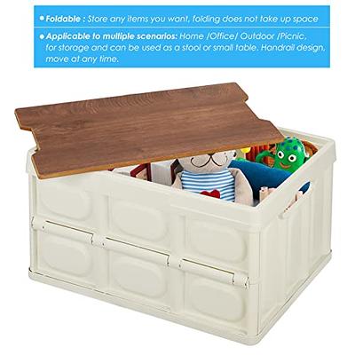 Collapsible Storage Tub with Lid - 30L