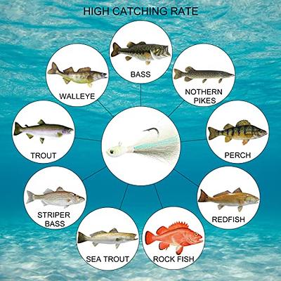 3 Pack Bucktail Jig Lure Hair Jig Saltwater Freshwater Lures Surf Fishing  White Red Chartreuse Bass Flounder Striper Bluefish Halibut Redfish 1/2oz,  1oz, 2oz, 4 - China Fishing Tackle and Fishing Lure
